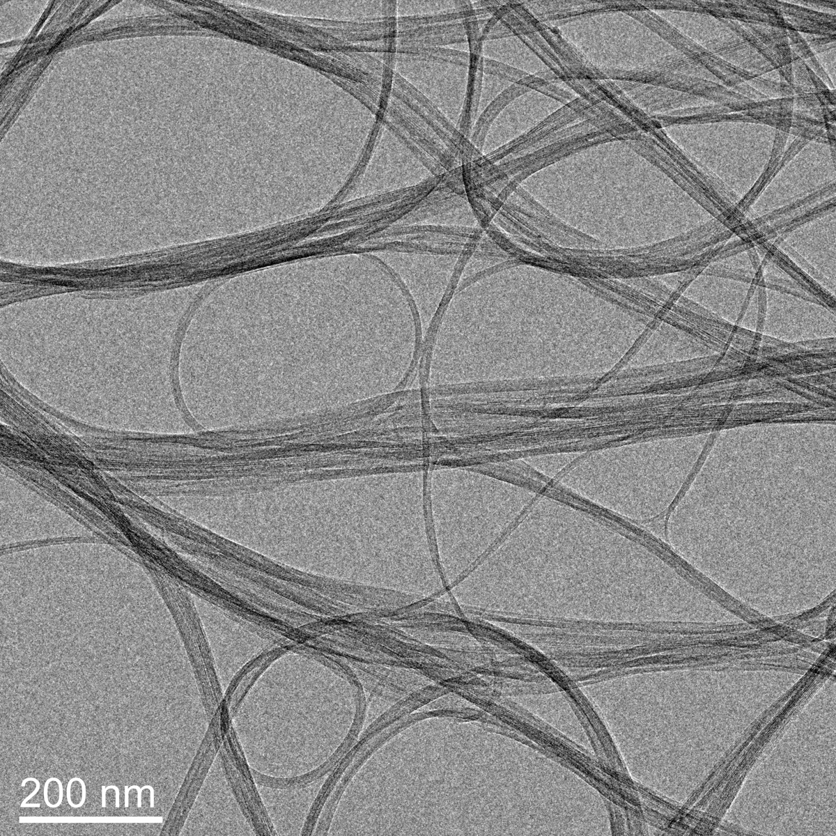 TEM 200nm